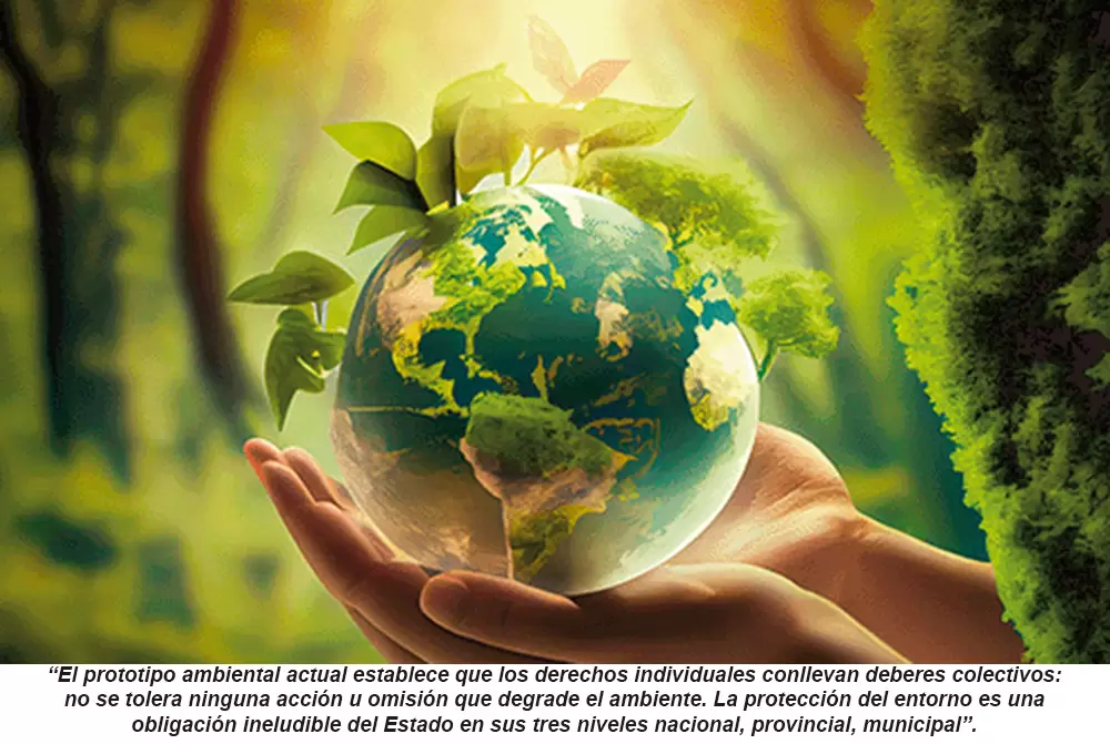 Protección efectiva y oportuna del medio ambiente