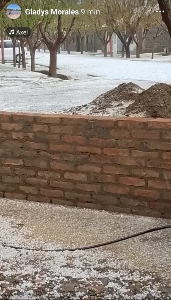 1000325697