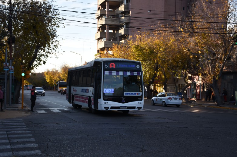 Diputados ya tiene el proyecto de la nueva Ley de Transporte y se discute en comisión