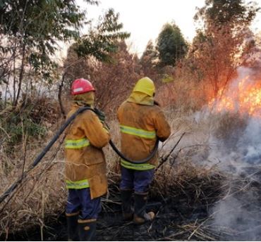 El intenso viento originó más de 40 incendios y caída de cables y ramas
