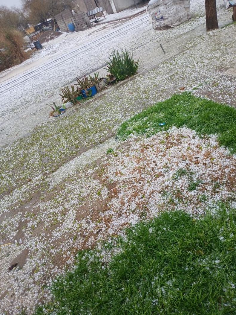 El temporal de Santa Rosa sorprendió a La Chimbera con gran cantidad de granizo