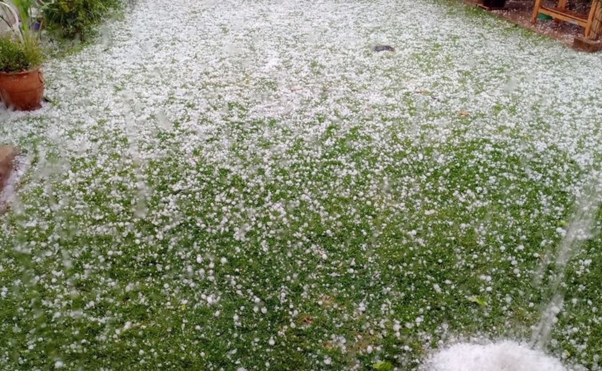 Por la emergencia agropecuaria habrá mayor asistencia a cinco departamentos clave de San Juan