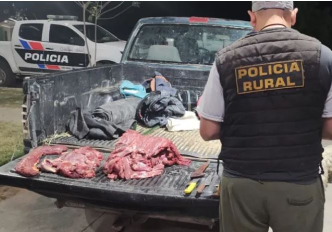 Policía Rural: secuestró 20 kilos de carne de guanaco y dos motos