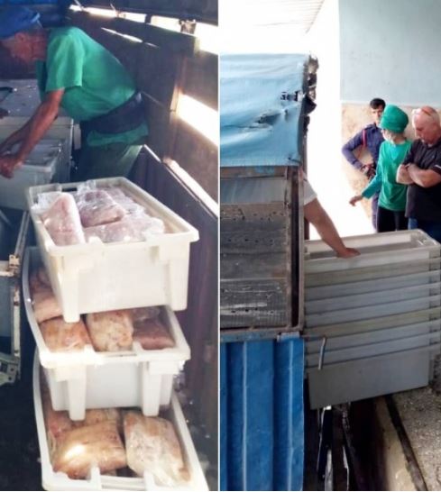 Decomisan camión con pescado en mal estado