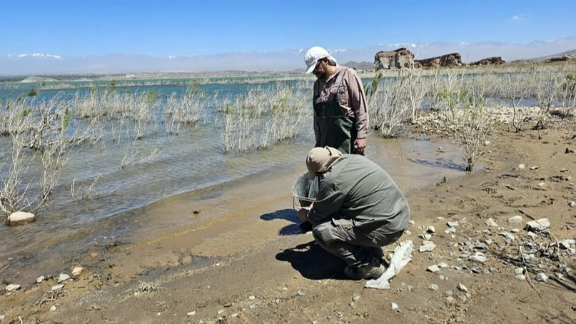 La Justicia investigará de oficio la aparición de peces muertos en el Dique Cuesta del Viento