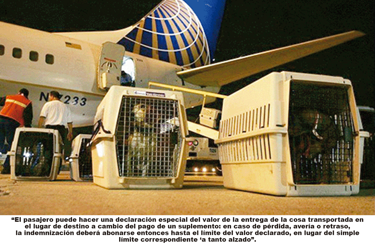 Alcance del concepto de “equipaje” en el transporte aéreo
