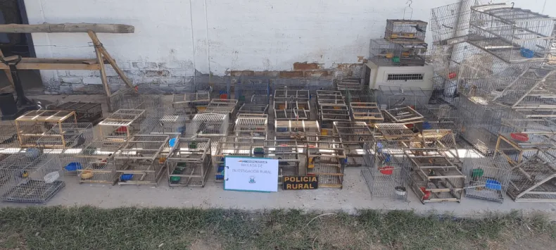 Policía Rural secuestró casi 50 aves protegidas tras allanamientos en Caucete