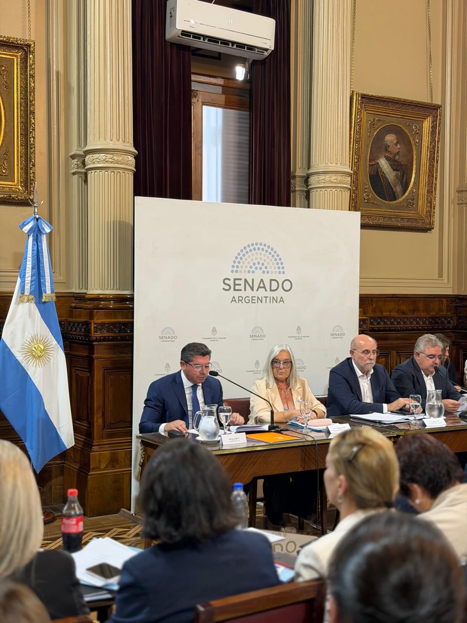 Orrego cerró el Plenario de Comisiones del Senado que analiza aclaraciones a la Ley de Glaciares