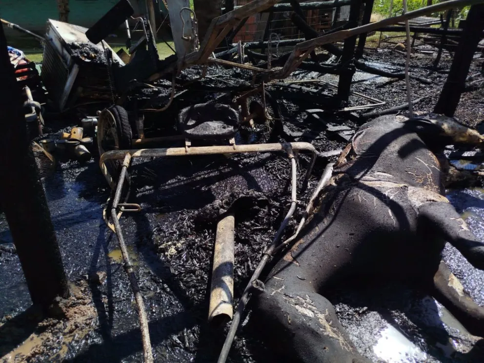 Grave incendio en Pocito: un caballo de carreras murió calcinado tras un incendio en una finca