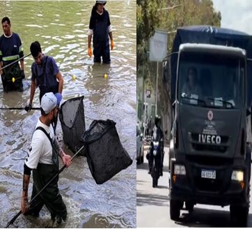 Parque de Mayo : por refacciones debieron trasladar más de 900 peces