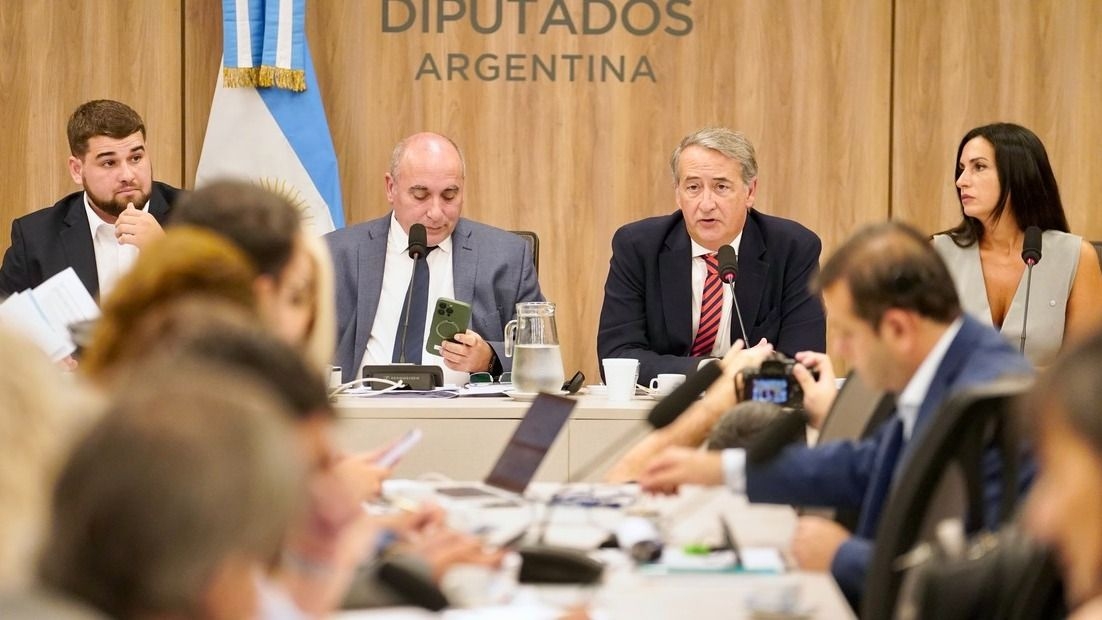 Audiencias por la reforma de la Ley de Glaciares: comenzó la primera jornada y hay 200 oradores