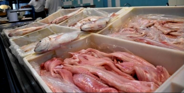 Semana Santa: Refuerzan el control en la venta de pescado en San Juan