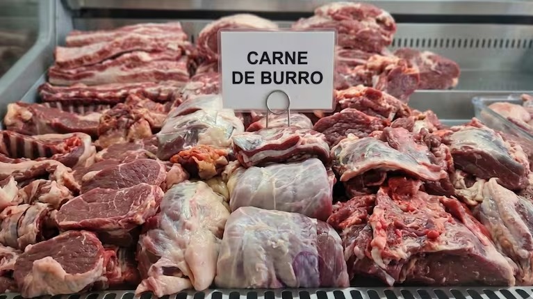 Carne de burro, entre lo cultural y su valor nutricional: recomiendan su consumo y alertan por su venta ilegal