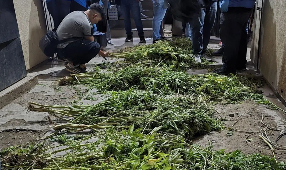 Impactante operativo en barrio Manantiales: los delincuentes atrincherados tenían $40 millones en droga