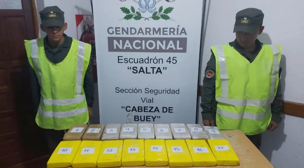 Secuestran casi 19 kilos de cocaína en dos micros en Salta que debían pasar por San Juan
