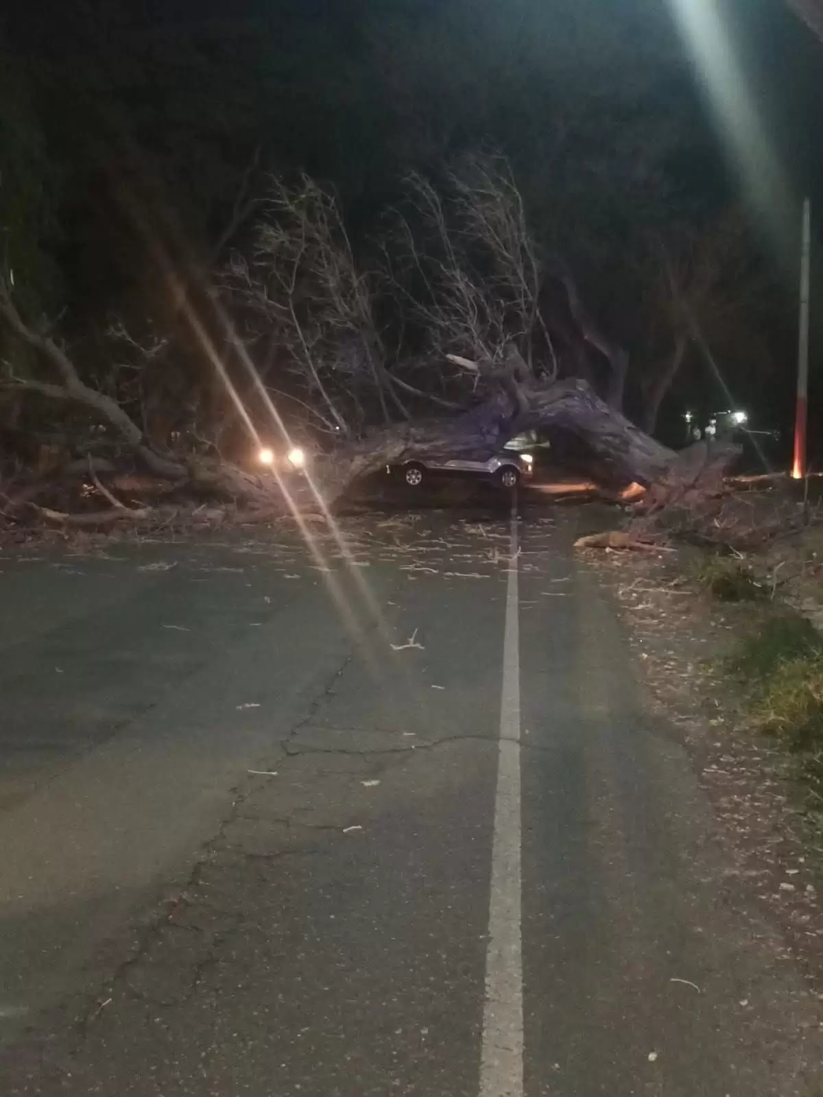 El viento Zonda provocó incendios, caída de árboles y más de 50 intervenciones de Bomberos en San Juan