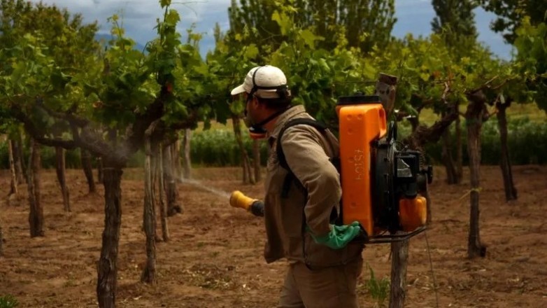 Sanidad vegetal, un pilar de la economía y la seguridad alimentaria