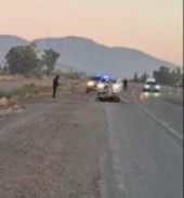 Ruta 40: trafic que trasladaba trabajadores embistió a un caballo