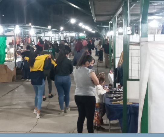 Feria del las Pulgas