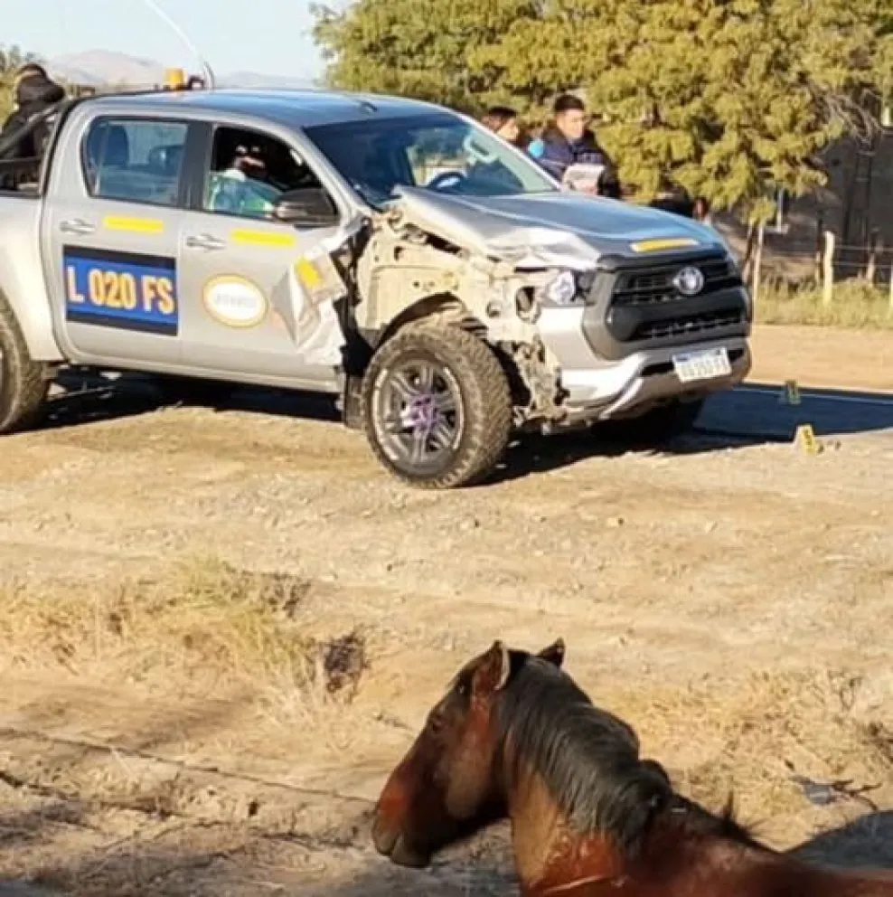 Choque en Ruta 40: una camioneta minera atropelló a un caballo en Jáchal