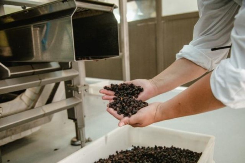 Las exportaciones sanjuaninas de pasas crecieron un 50% en dólares