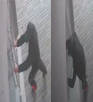 Delincuente ingeresa a robar