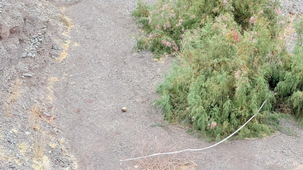 Misterio en Punta Negra: hallaron un cráneo humano y la Justicia investiga cómo llegó al lugar