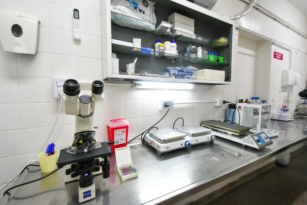 Laboratorio de Citogenética del Hospital Rawson, realizó 600 estudios complejos