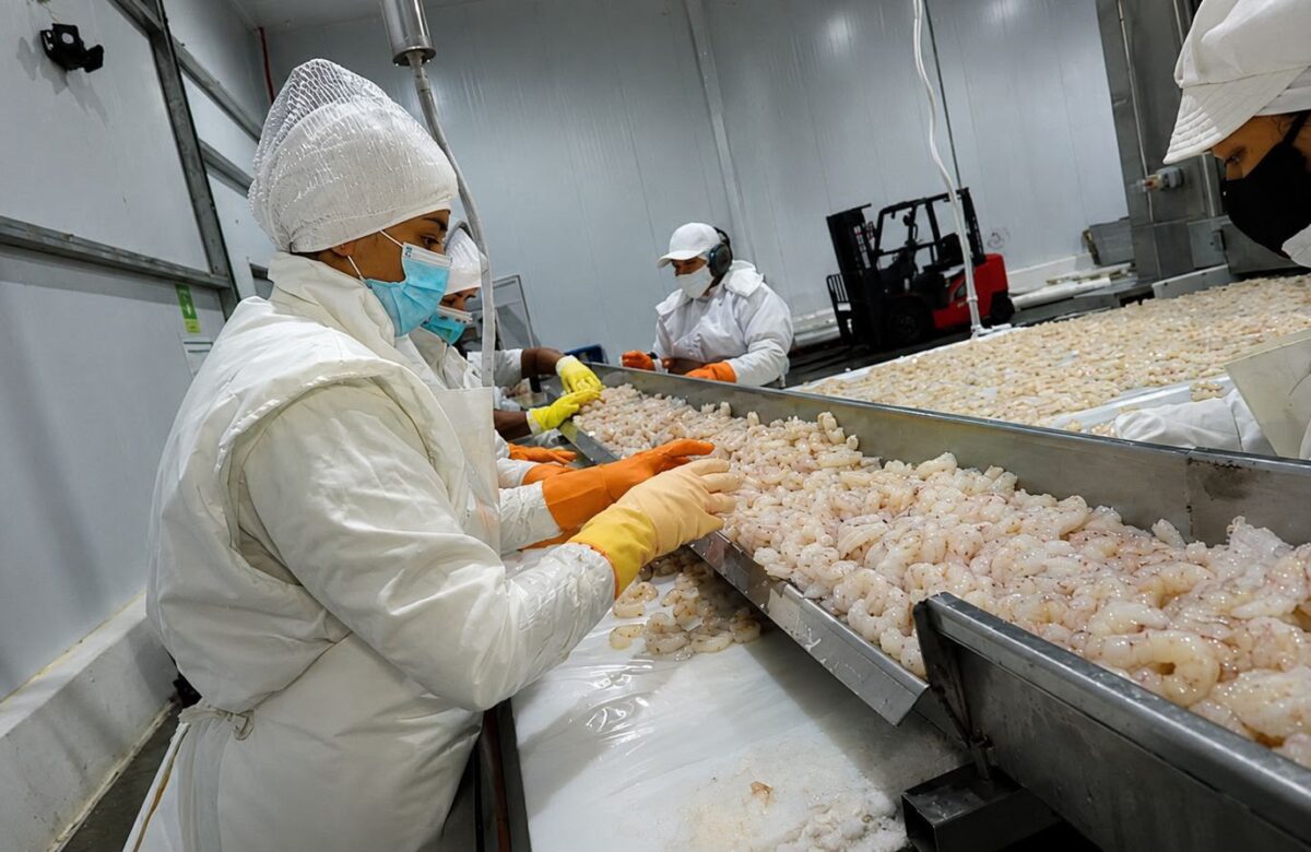 AISA Group expande su negocio pesquero