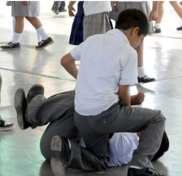 La diputada López  propone crear un Observatorio Provincial de Violencia Escolar
