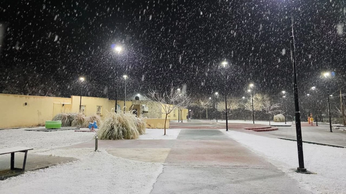 La nieve cubrió Calingasta e Iglesia, tras un intenso temporal