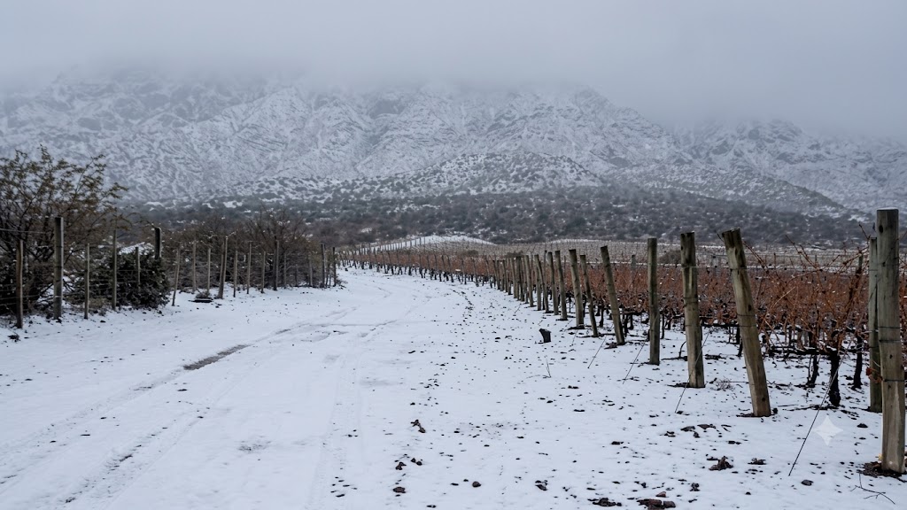 Renovaron el alerta por nevadas en cordillera: anticipan acumulaciones de hasta medio metro