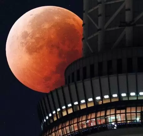 «Luna de Sangre»: el Observatorio Astronómico Félix Aguilar transmitirá en vivo el eclipse lunar