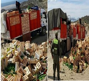 Agircultura decomisó pimientos y productos de riesgo para la sanidad vegetal local