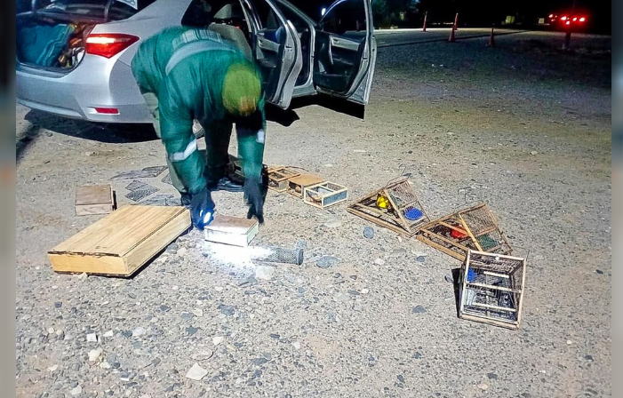 Encuentran aves en cautiverio luego de un control policial de rutina