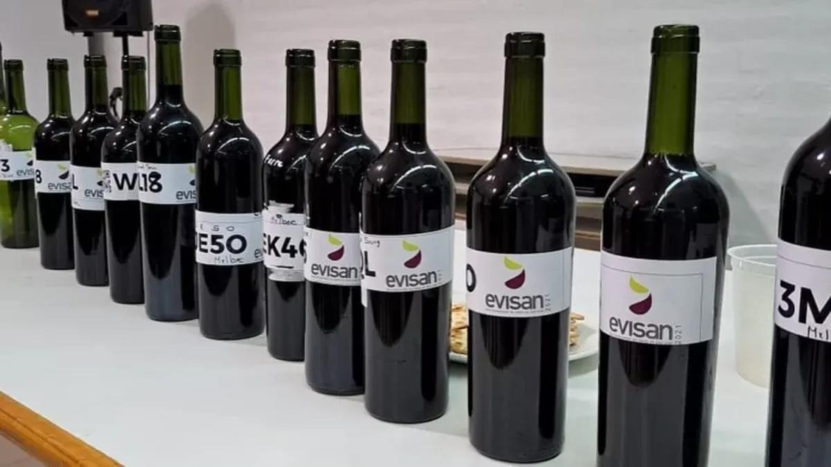 EVISAN reunirá a 27 bodegas este sábado