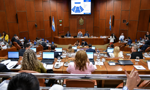 Diputados aprobó por unanimidad la Ley Transitoria del Régimen Penal Juvenil
