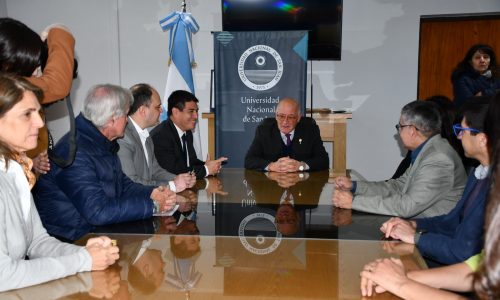 San Juan relevará y protegerá sus árboles de valor patrimonial