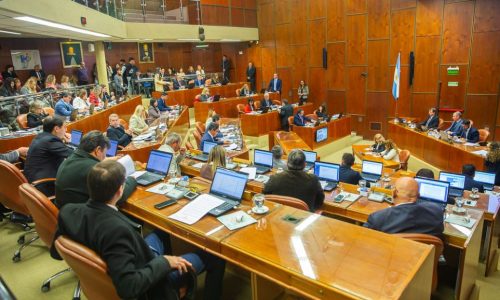 Diputados en sesión especial  tratan la Ley Complementaria del Régimen Penal Juvenil